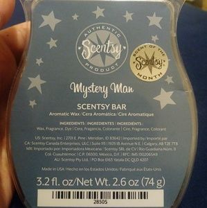 Scentsy Bars